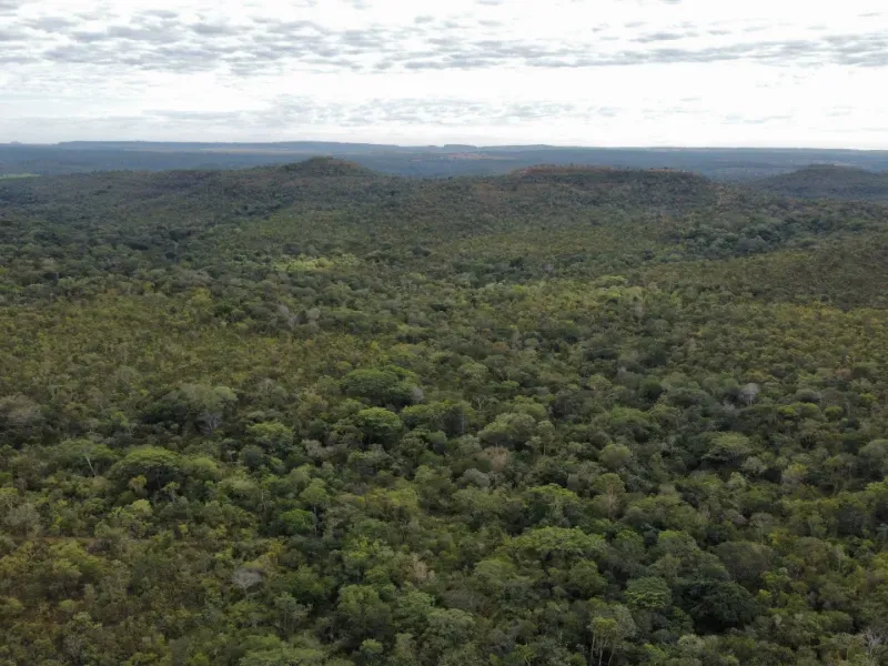 Fazenda em Santa Tereza do Tocantins/Tocantins — Ref JJNEBX — Imagem 19