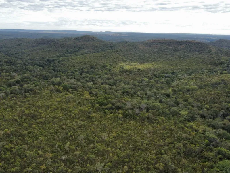 Fazenda em Santa Tereza do Tocantins/Tocantins — Ref JJNEBX — Imagem 20