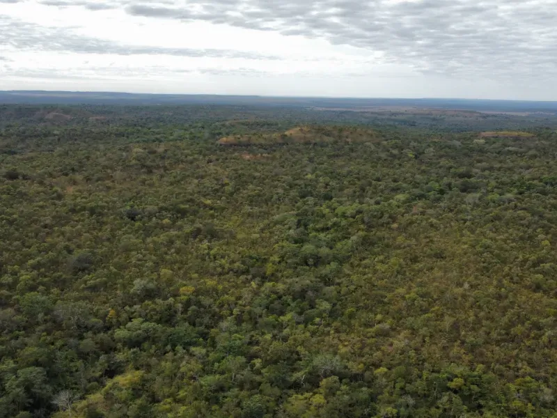 Fazenda em Santa Tereza do Tocantins/Tocantins — Ref JJNEBX — Imagem 21