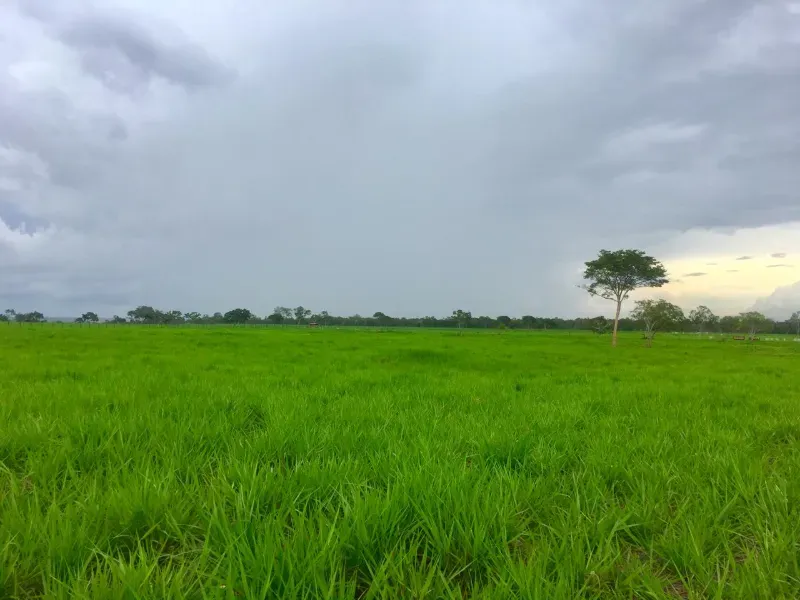 Fazenda em Pium/Tocantins — Ref HGK7GT — Imagem 2