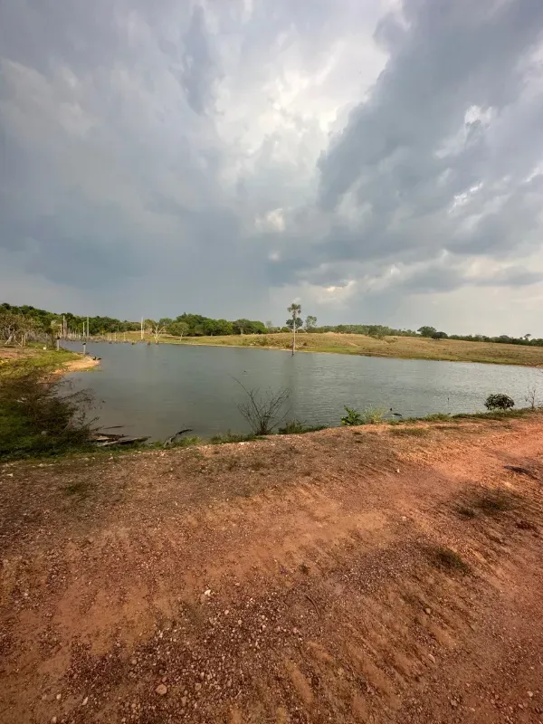 Fazenda em Pium/Tocantins — Ref HGK7GT — Imagem 4