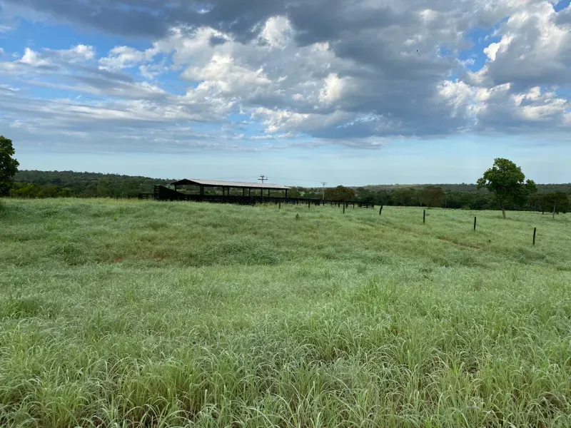 Fazenda em Pium/Tocantins — Ref HGK7GT — Imagem 9