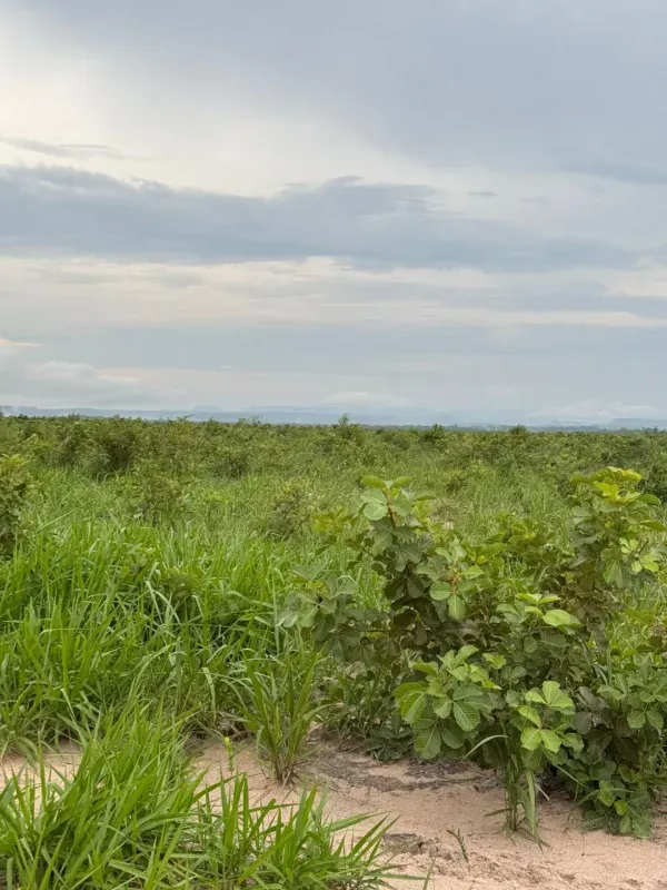 Imóvel rural em Lizarda/Tocantins — Ref Y0WSI11