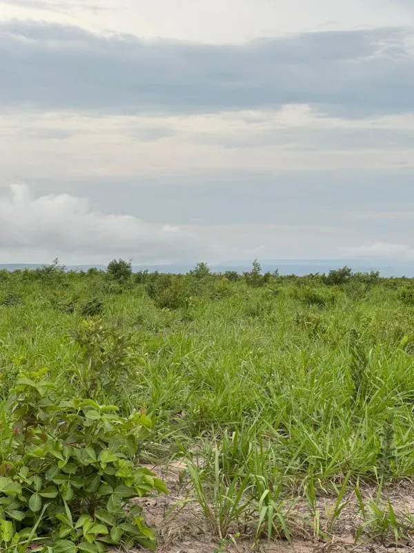 Fazenda em Lizarda/Tocantins — Ref Y0WSI1 — Imagem 2