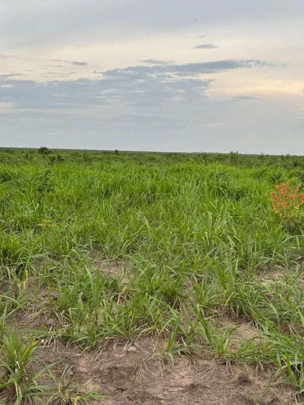 Fazenda em Lizarda/Tocantins — Ref Y0WSI1 — Imagem 4