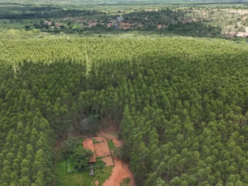 Fazenda em Corinto/Minas Gerais — Ref KB8448 — Imagem 15