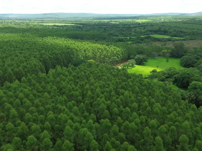 Imóvel rural em Corinto/Minas Gerais — Ref KB84481