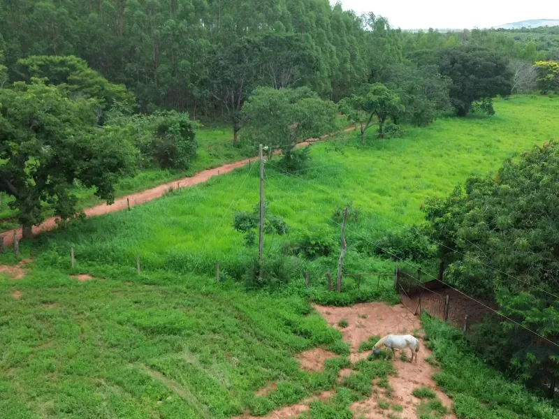 Fazenda em Corinto/Minas Gerais — Ref KB8448 — Imagem 9