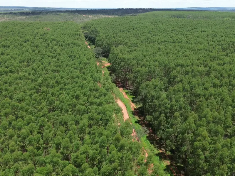 Fazenda em Corinto/Minas Gerais — Ref KB8448 — Imagem 6