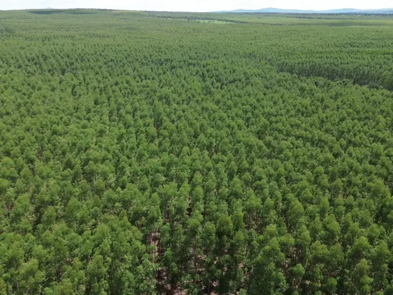 Fazenda em Corinto/Minas Gerais — Ref KB8448 — Imagem 3