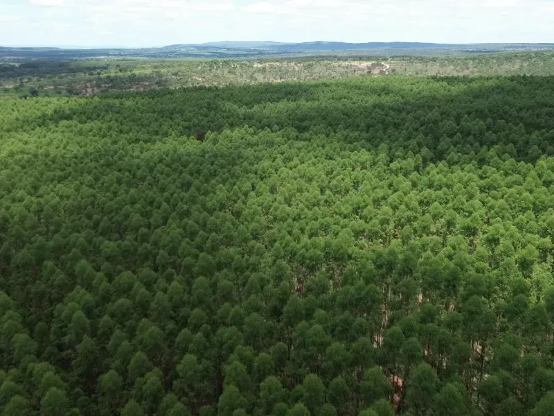 Fazenda em Corinto/Minas Gerais — Ref KB8448 — Imagem 4