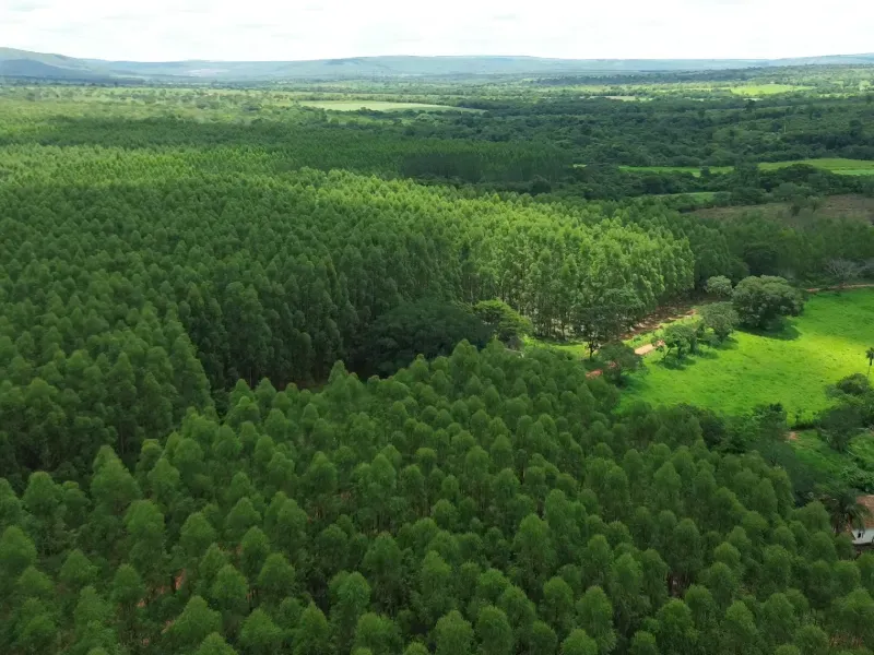 Fazenda em Corinto/Minas Gerais — Ref KB8448 — Imagem 7