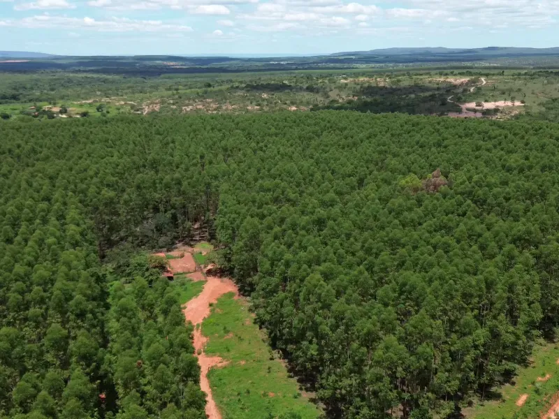 Fazenda em Corinto/Minas Gerais — Ref KB8448 — Imagem 14