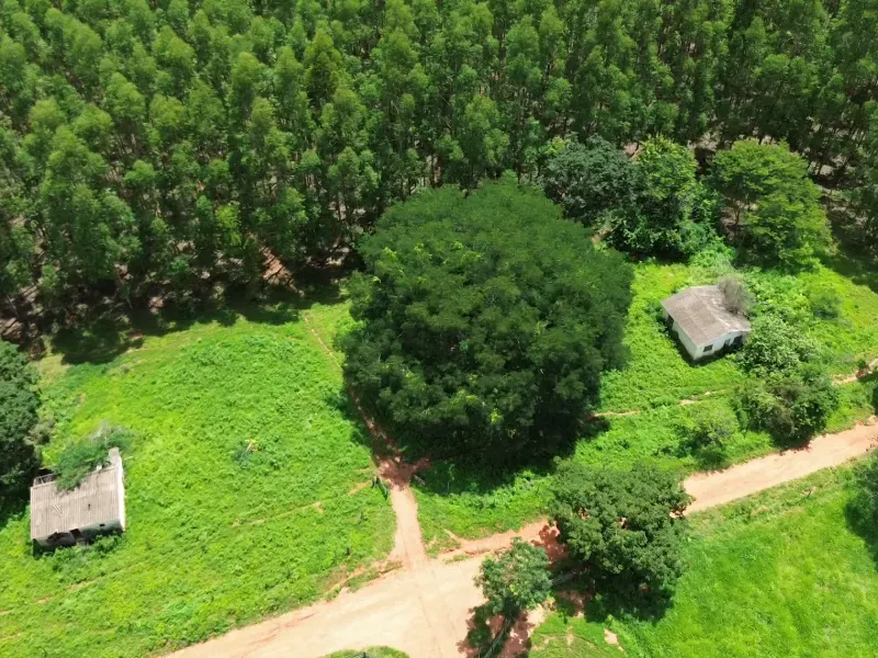 Fazenda em Corinto/Minas Gerais — Ref KB8448 — Imagem 12