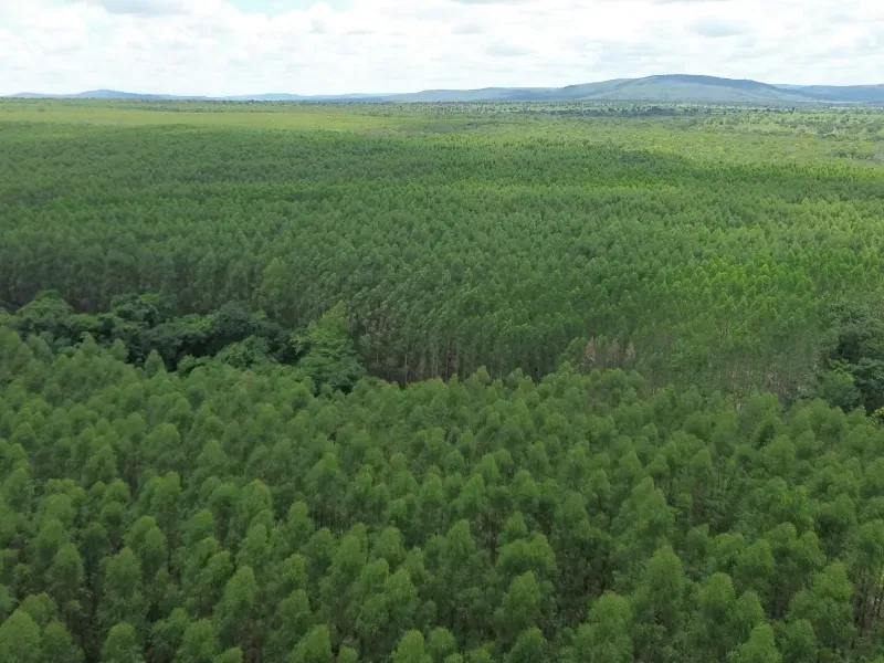 Fazenda em Corinto/Minas Gerais — Ref KB8448 — Imagem 5