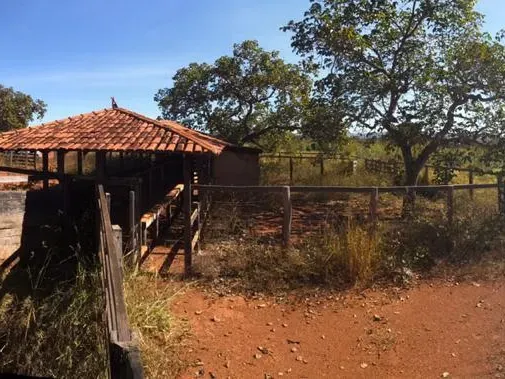 Fazenda em Corinto/Minas Gerais — Ref KB8448 — Imagem 17