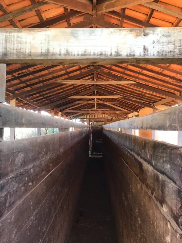 Fazenda em Corinto/Minas Gerais — Ref KB8448 — Imagem 18