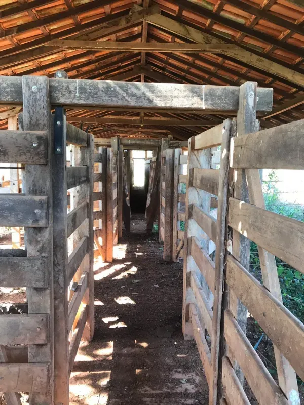 Fazenda em Corinto/Minas Gerais — Ref KB8448 — Imagem 20