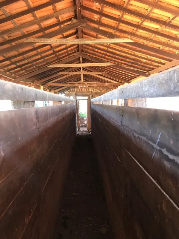 Fazenda em Corinto/Minas Gerais — Ref KB8448 — Imagem 21