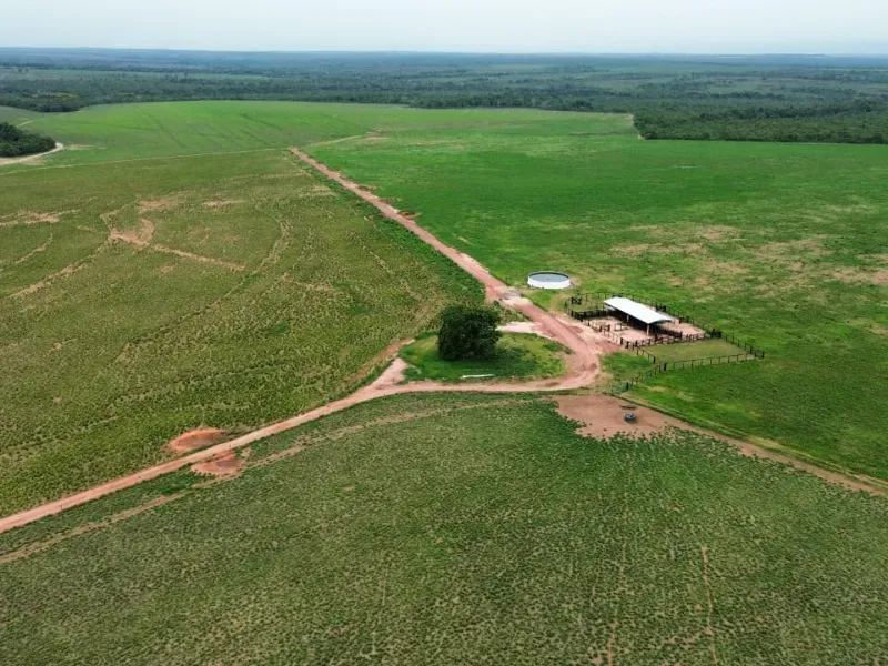 Fazenda em Colinas do Tocantins/Tocantins — Ref 5Y1ACE — Imagem 14