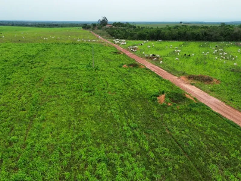 Fazenda em Colinas do Tocantins/Tocantins — Ref 5Y1ACE — Imagem 4