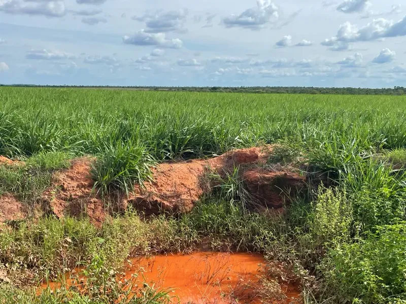 Fazenda em Colinas do Tocantins/Tocantins — Ref 5Y1ACE — Imagem 5