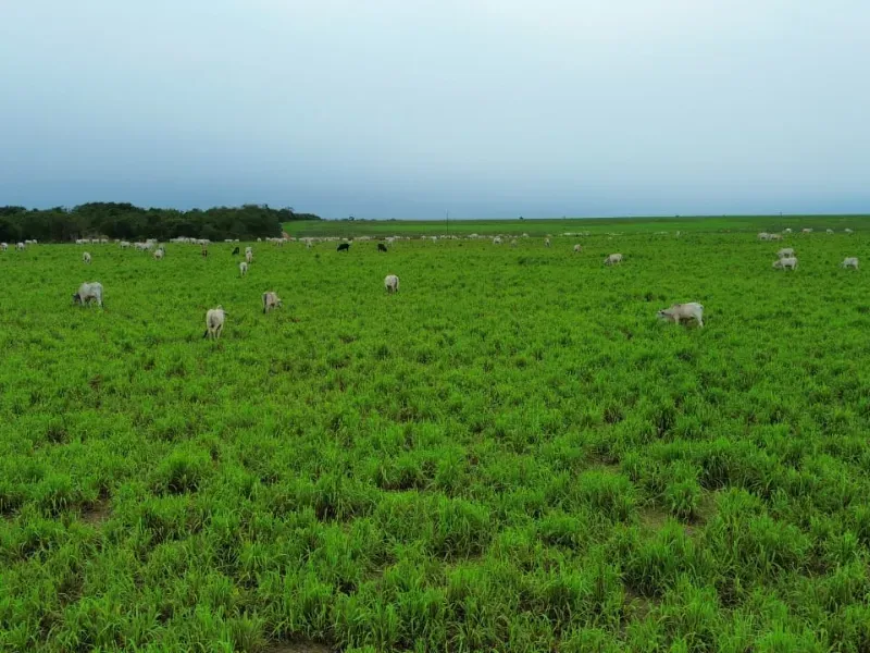 Imóvel rural em Colinas do Tocantins/Tocantins — Ref 5Y1ACE1