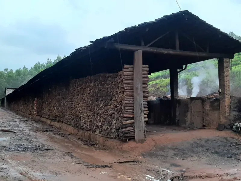 Fazenda em Pedra Bela/São Paulo — Ref H1AQIX — Imagem 3