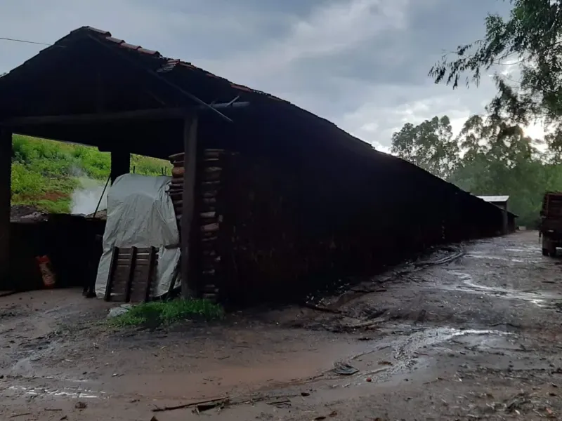 Fazenda em Pedra Bela/São Paulo — Ref H1AQIX — Imagem 5