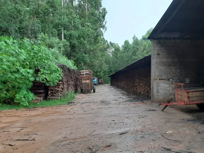 Fazenda em Pedra Bela/São Paulo — Ref H1AQIX — Imagem 16