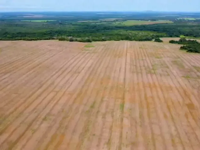 Fazenda em Porto Nacional/Tocantins — Ref APK6LW — Imagem 3