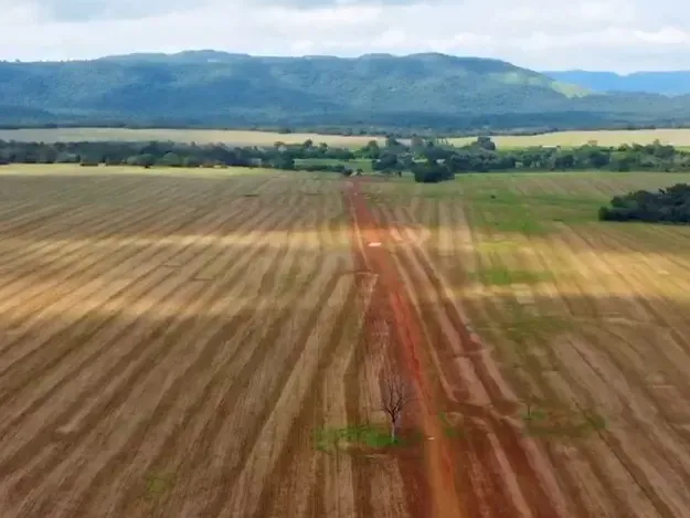 Fazenda em Porto Nacional/Tocantins — Ref APK6LW — Imagem 10