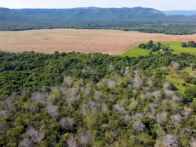 Fazenda em Porto Nacional/Tocantins — Ref APK6LW — Imagem 16