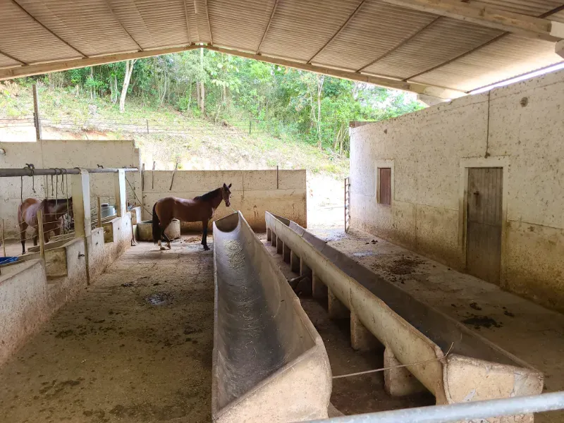 Fazenda em Areia/Paraíba — Ref XB2UI6 — Imagem 25
