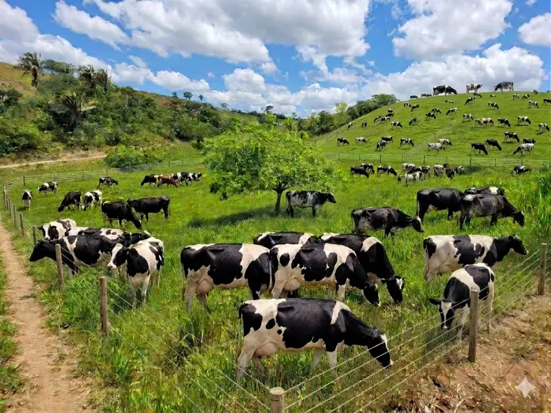 Fazenda em Areia/Paraíba — Ref XB2UI6 — Imagem 35
