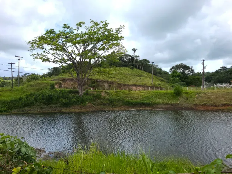 Fazenda em Areia/Paraíba — Ref XB2UI6 — Imagem 28