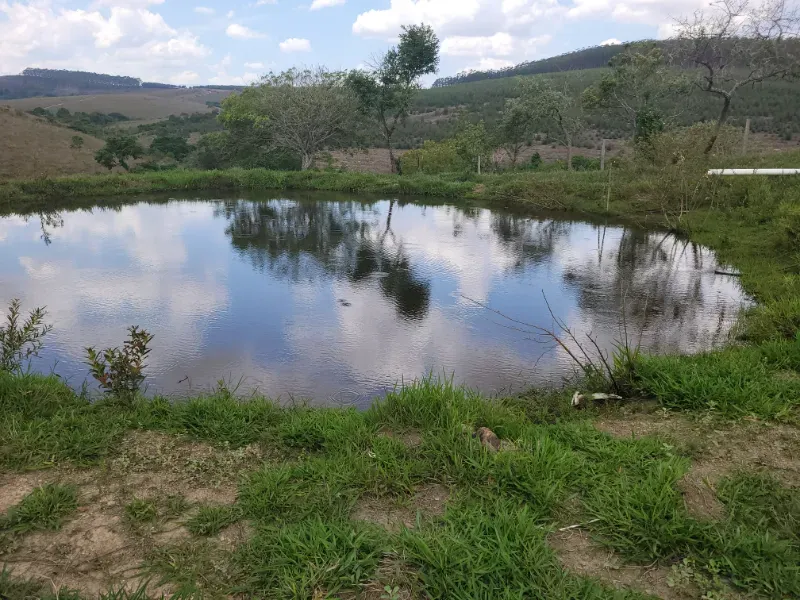 Fazenda em Medeiros/Minas Gerais — Ref PGE6PA — Imagem 15