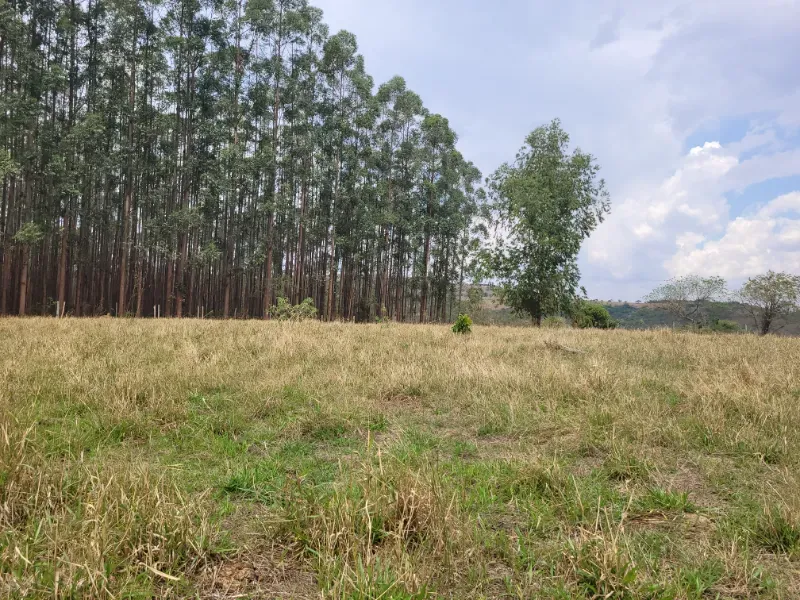 Fazenda em Medeiros/Minas Gerais — Ref PGE6PA — Imagem 7
