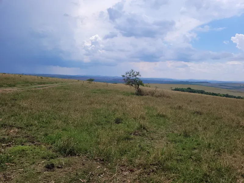 Fazenda em Medeiros/Minas Gerais — Ref PGE6PA — Imagem 14