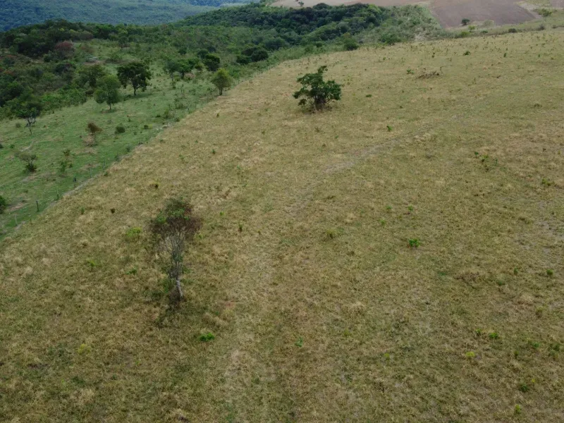 Fazenda em Medeiros/Minas Gerais — Ref PGE6PA — Imagem 29