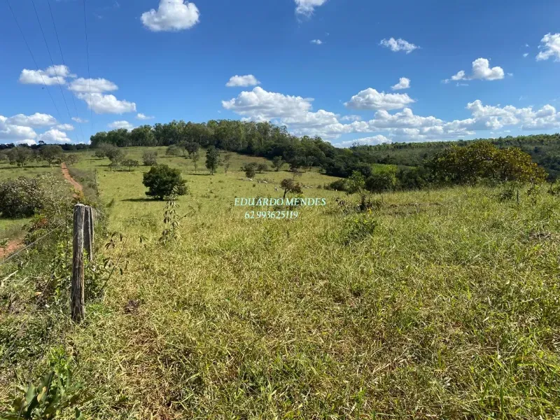 Sítio em Abadiânia/Goiás — Ref 24MPNE — Imagem 2