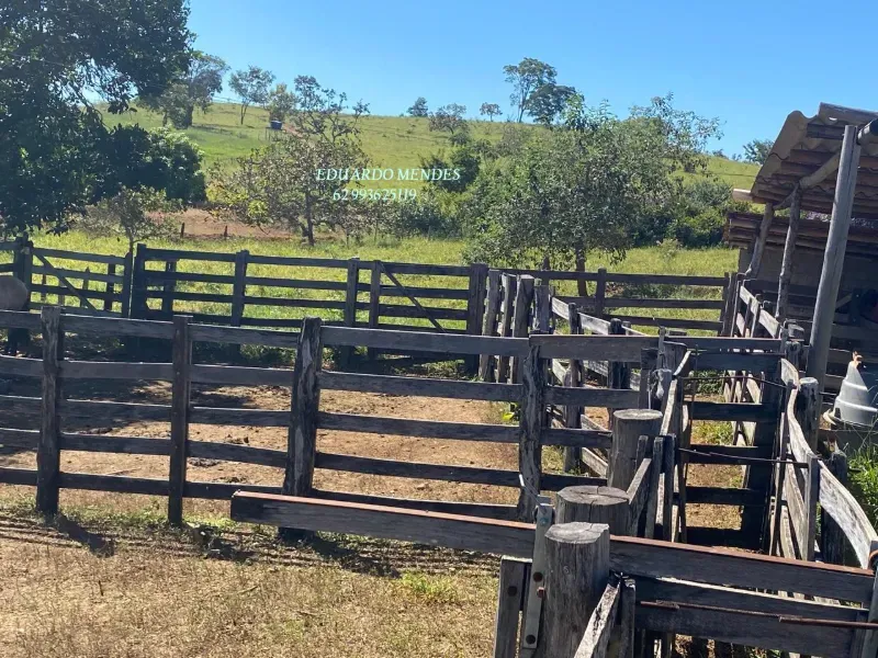 Sítio em Abadiânia/Goiás — Ref 24MPNE — Imagem 8