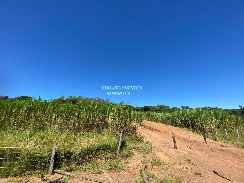 Sítio em Abadiânia/Goiás — Ref 24MPNE — Imagem 9