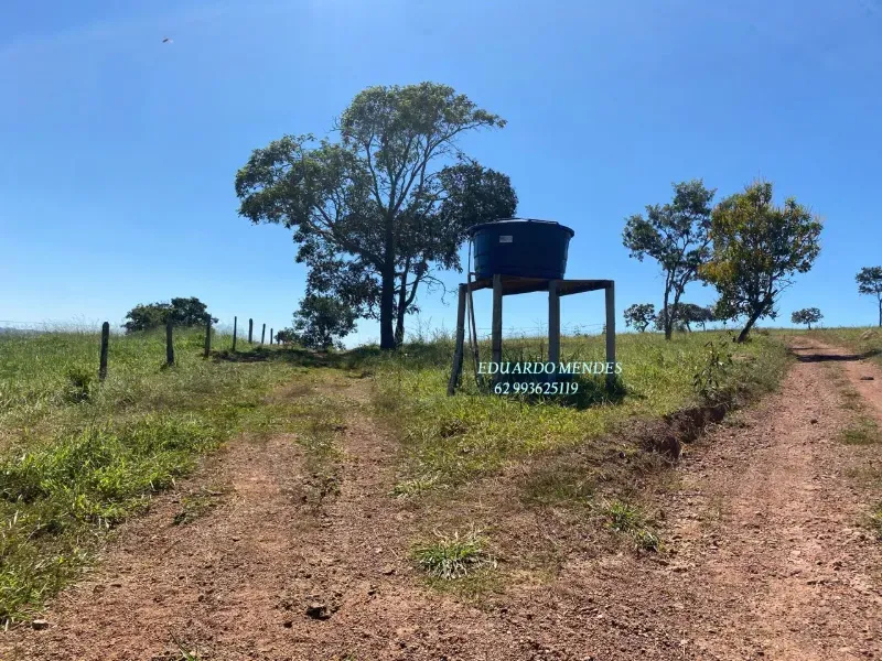 Sítio em Abadiânia/Goiás — Ref 24MPNE — Imagem 13