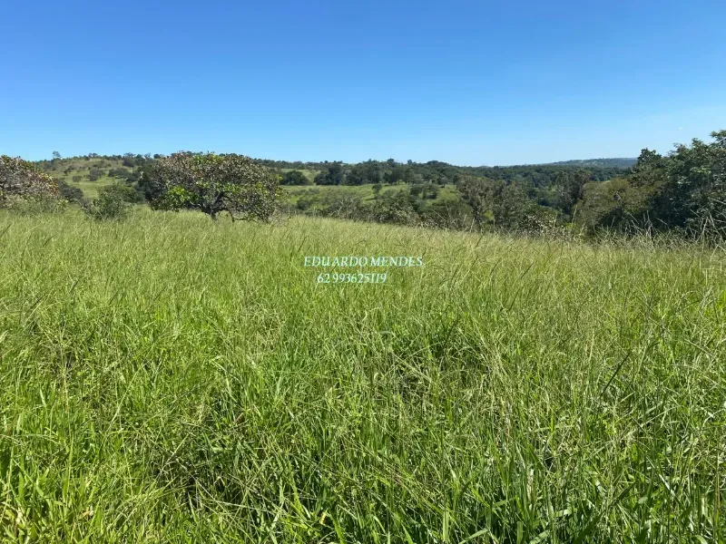 Sítio em Abadiânia/Goiás — Ref 24MPNE — Imagem 15