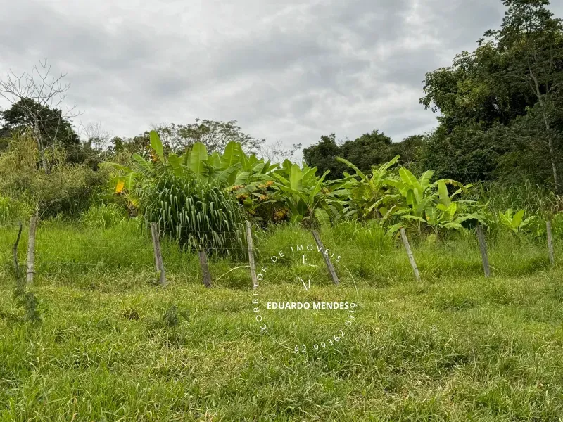 Sítio em Abadiânia/Goiás — Ref LXJHCV — Imagem 13