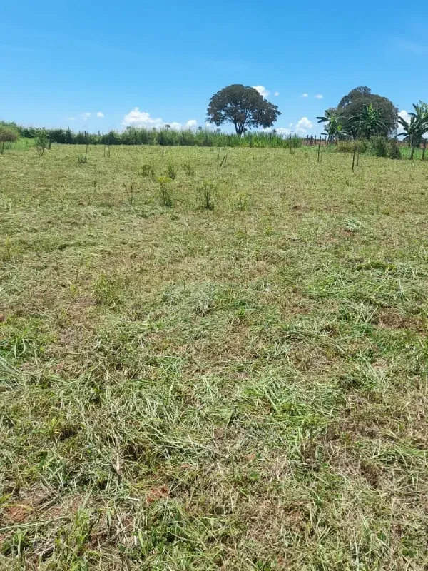 Imóvel rural em Nerópolis/Goiás — Ref X2H3CV1