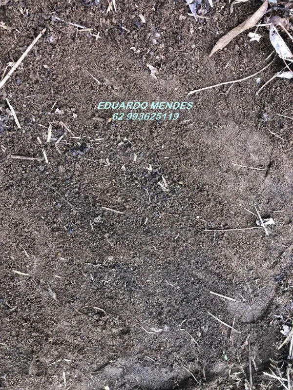 Chácara em Corumbá de Goiás/Goiás — Ref S2ZTVG — Imagem 7