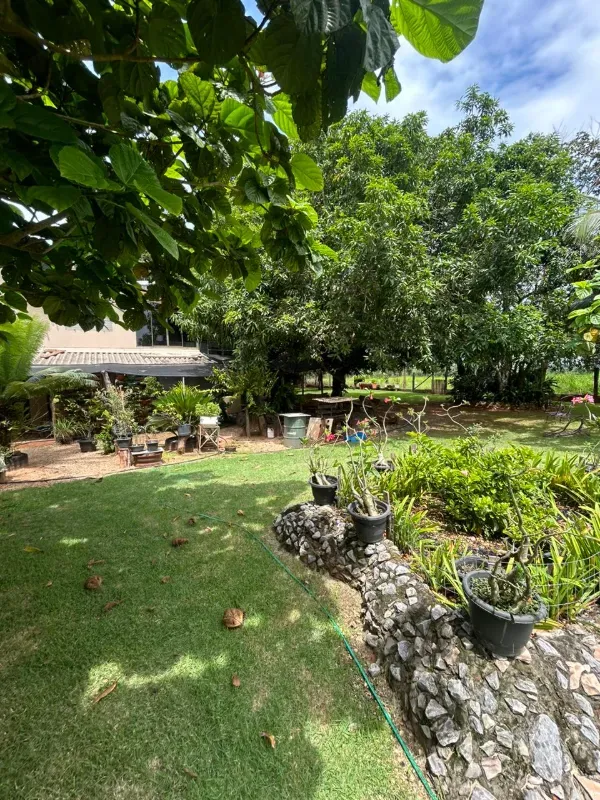 Fazenda em Colinas do Tocantins/Tocantins — Ref FILKTB — Imagem 4