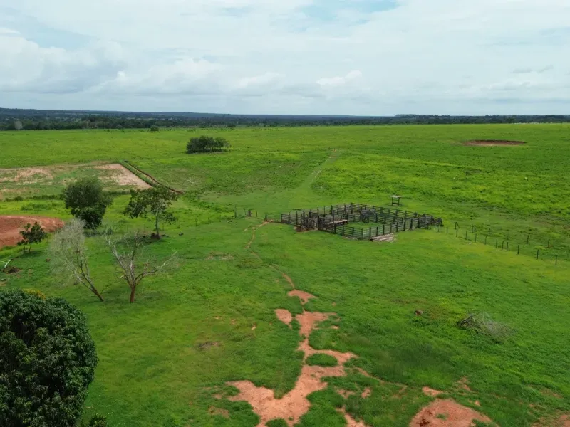 Fazenda em Colinas do Tocantins/Tocantins — Ref FILKTB — Imagem 6
